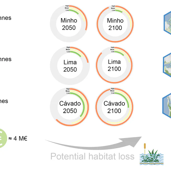 Quantifying the role of saltmarsh as a vulnerable carbon sink: A case study from Northern Portugal
