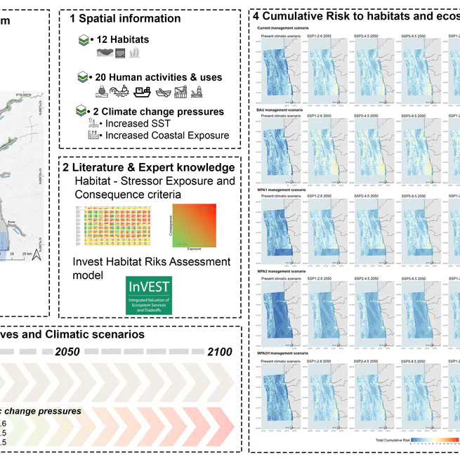Assessing cumulative risks to coastal and marine habitats under management and climate change scenarios: The case of northern Portugal