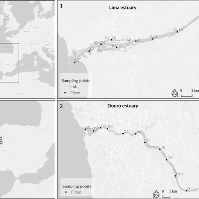 Physicochemical dataset from Lima and Douro estuaries (Northwest Portugal)
