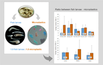 Microplastic Contamination in an Urban Estuary: Abundance and Distribution of Microplastics and Fish Larvae in the Douro Estuary